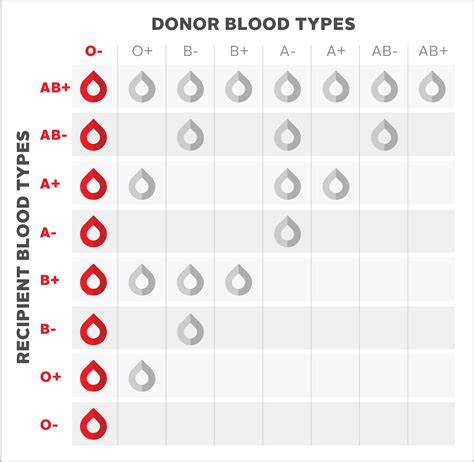 rfid chip and rh o negative blood type|Where does Rh.